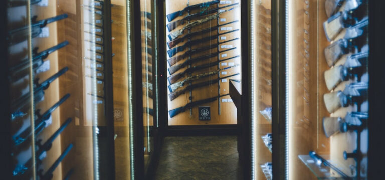 Best Gun Safe Under $500